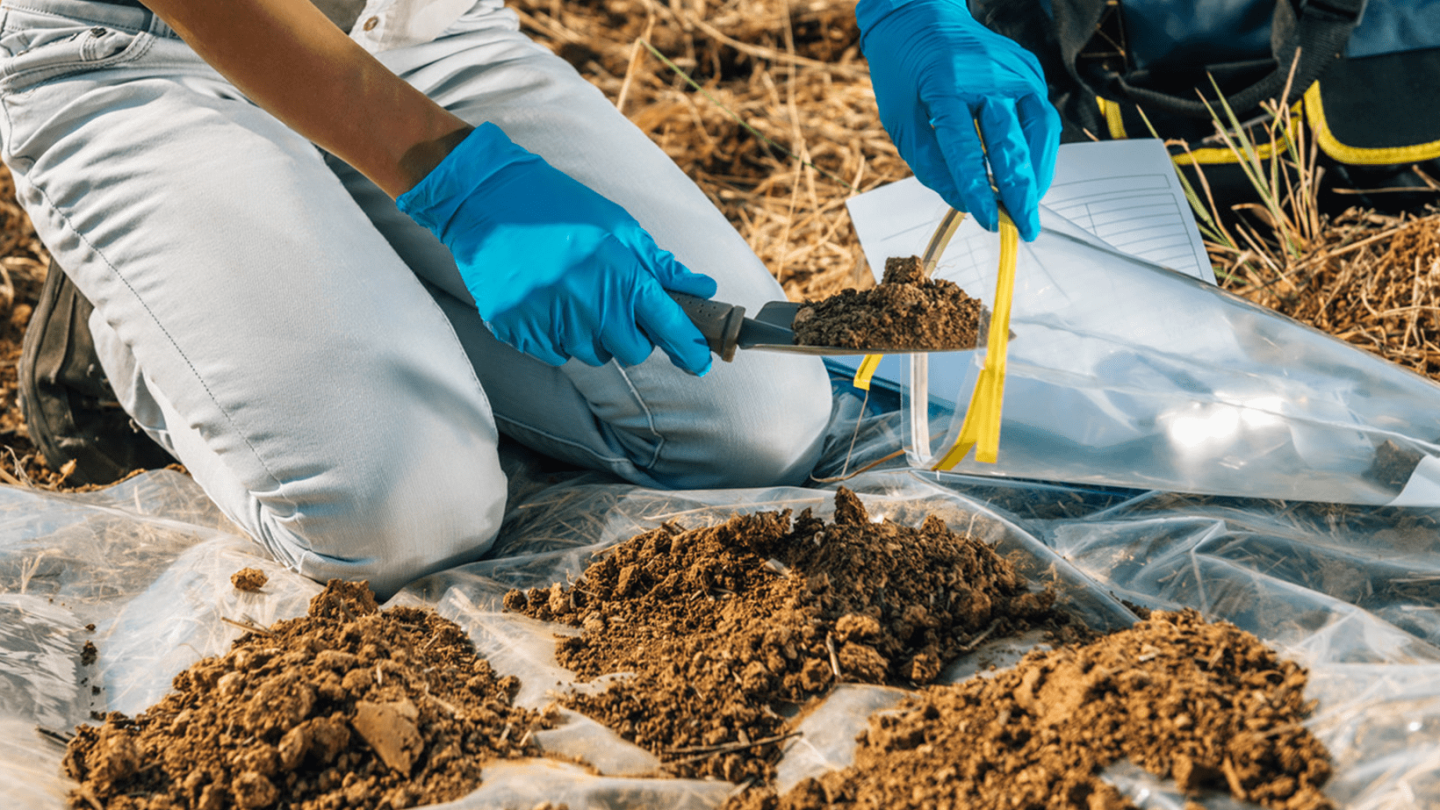 Soil Analysis for Farming: How to Collect a Soil Sample and Interpret ...