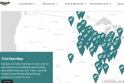 Mosaic Website Map.png