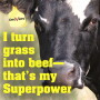 What's your superpower?