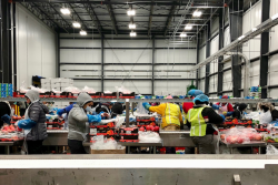 Eastern Propak, Glassboro, N.J., expanded its facilities.