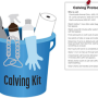 Calving kit