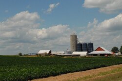 farmstead 