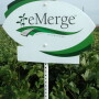 Emerge Seed Sign
