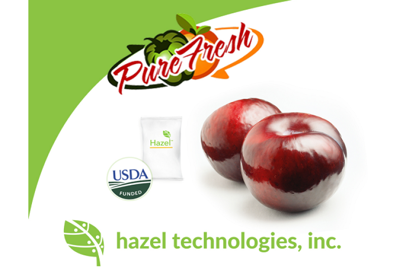 050A720F-5844-4176-8CA147E176022F77.png