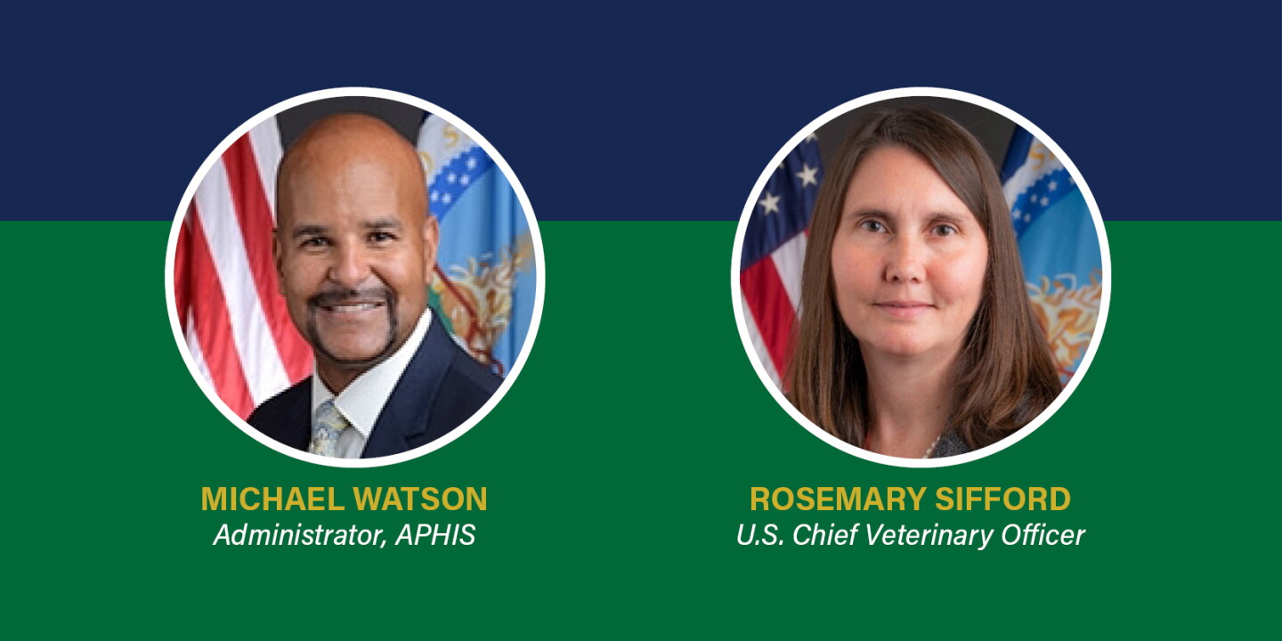 New Leadership to Take on Key Animal Health Roles at USDA - Bovine Vet