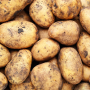 potatoes
