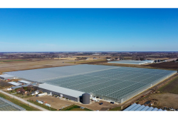 mucci farms