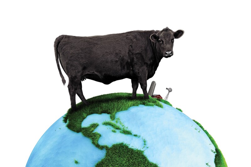 globalBEEF2_isolated_2.jpg