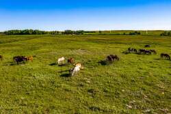 Minnechaduza Creek Ranch