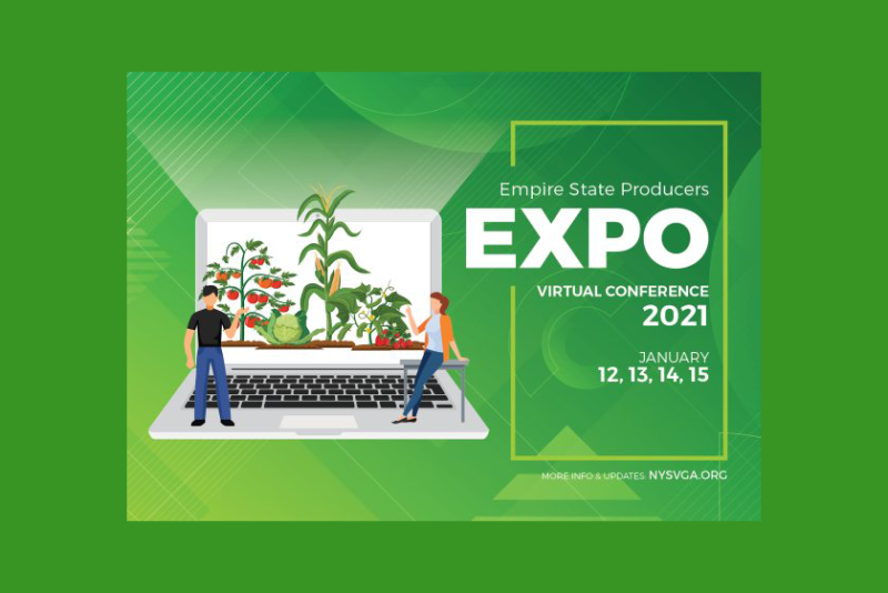 Empire State Expo