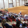 Stockmanship & Stewardship training