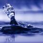 A drop of water. 
