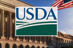 The July WASDE report typically doesn't create many fireworks, but an already historic year could cause the WASDE and Crop Production reports to yield some surprises. 