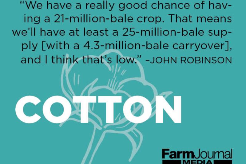 With the big cotton crop that's expected next year, it's not too early to start your marketing plan for it.