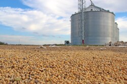 Jack Shoup wanted to keep a fraction of the checkoff assessment he was required by law to submit.