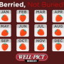Well-Pict