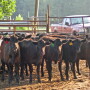 Market recovery from coronavirus impact could be lengthy