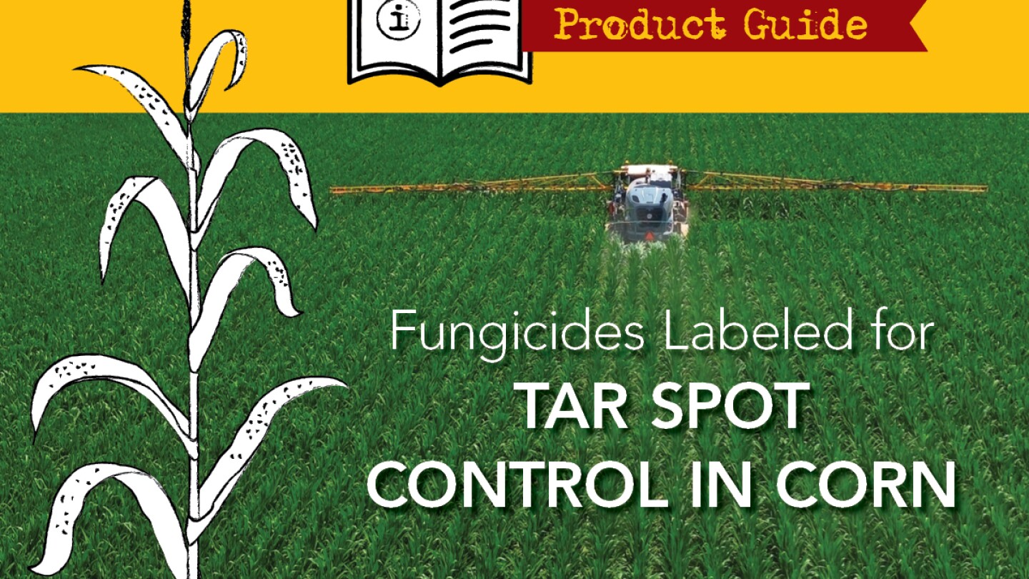 Product Guide: Fungicides Labeled for Tar Spot Control in Corn - AgWeb