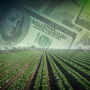 Faber said USDA told them the changes occurred because of a software update to its reporting system in 2019, during the Trump administration. 
