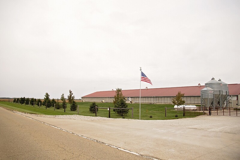 Darren Brown Pig Farm by IPPA
