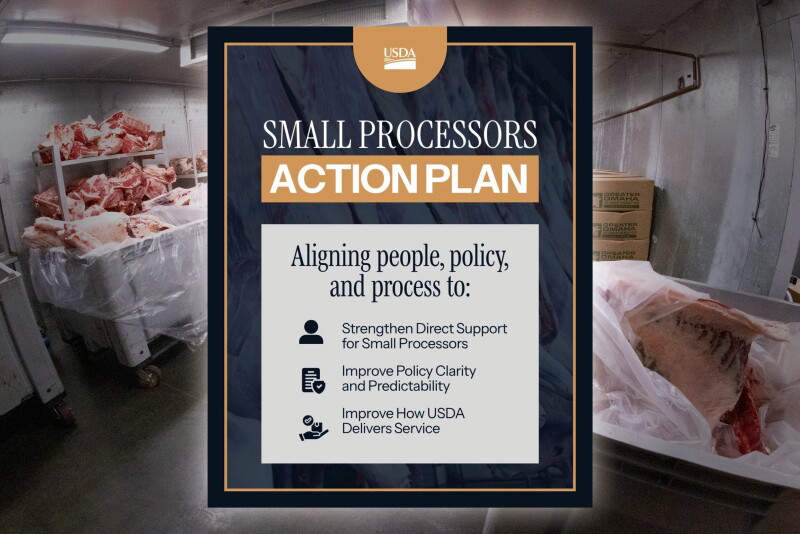 What is the Small Processors Action Plan? - Drovers