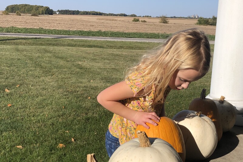 Harper-Shike-pumpkins.jpg