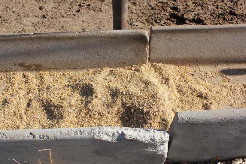 Feedlot Bunk