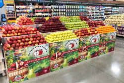 A view of a produce department display of several stands holding apples of different varieties, red and green. The four stands in front are identical, each bearing the Sage Fruit Co. logo and a photo of a basket of apples and a pear.