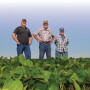 Three generations of Uphoffs, from left: Philip, John and Paul, raise continuous soybeans in north-central Illinois.
