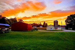 Meyer Dairy