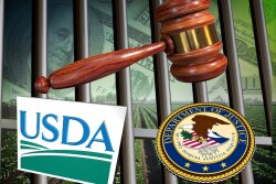 After accepting payments for approving USDA loans for cash payments, a former Farm Service Agency loan officer will spend two years in federal prison. 