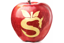 E3F0C096-5F96-4CE6-8CE1CAC61E1A72DA.png