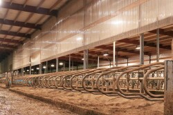 sand bedded stalls