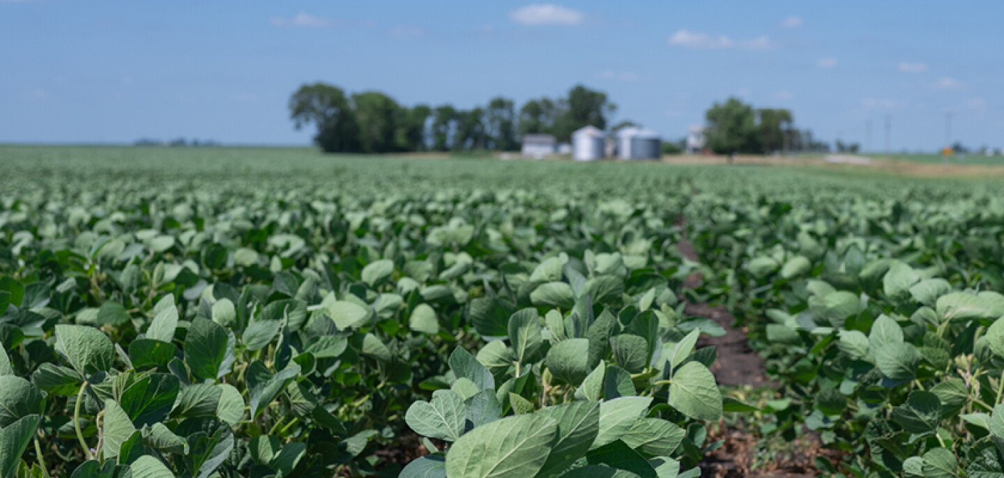 LongView%20Farms-Cover%20Story-7.jpg