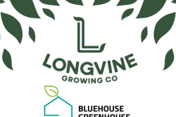 longwhateverbluehouse web.png