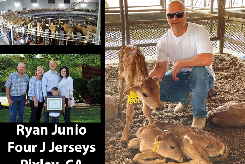 Four J Jerseys