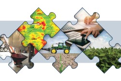 Consider input prices, market opportunities and agronomic challenges.