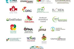supply chain
