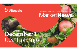 US apple dec 2020.png