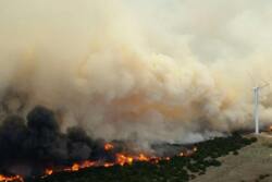 Wildfires put animals as well as people at risk.