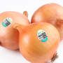 84F981DA-86DB-4FB9-BD06CB388BB20118.png