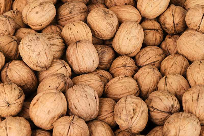 Walnuts in shell