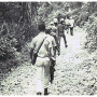 Dominican Republic ASF Brigades