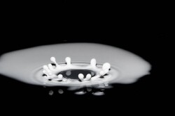 Milk splash