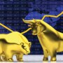 Bull Bear Market