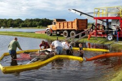 Cranberry harvest Oct 2017 Tomah, Wisconsin