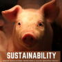 Sustainability