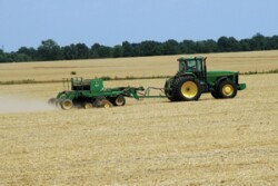 soybean college planttips