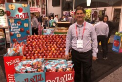 Bigger volumes of Pazazz apple will be available this year, said Don Roper, vice president sales and marketing at Elgin, Minn.-based Honeybear Brands.