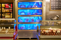A metal container with four shelves, each visible through glass on the front, hold clusters of mushrooms illuminated by a bluish light.
